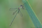 EOS 7D Mark II_2017_08_15_30709