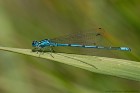 IMG_2014_06_07_9999_164