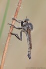 EOS 7D Mark II_2017_07_13_25350