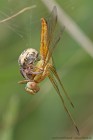 EOS 7D Mark II_2017_06_05_20221b
