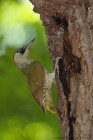 EOS-1D Mark IV_2017_05_26_18226