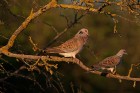 IMG_1676