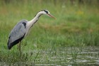EOS 5D Mark IV_2018_05_26_56431