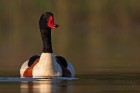 IMG_5253