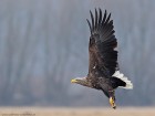 IMG_2014_02_19_4581