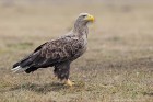 IMG_2014_02_19_4910