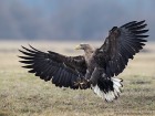 IMG_2014_02_19_5069