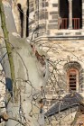 EOS 7D Mark II_2017_01_28_01015