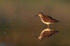 IMG_4884