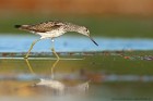 IMG_5966