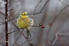 EOS 5D Mark IV_2018_03_01_47421