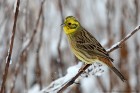 EOS 5D Mark IV_2018_03_16_48395
