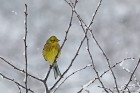 EOS 5D Mark IV_2018_03_17_48859