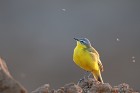 EOS 5D Mark IV_2018_05_04_55608