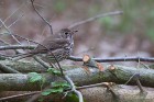 IMG_2014_04_21_7157