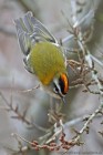 EOS 7D Mark II_2017_01_07_00490