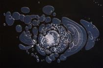 Eisgalaxie / f13.0 / 1/200 sek / 176.0 mm / ISO 800