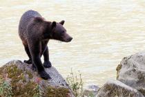 alaska