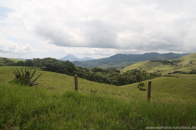 04von_arenal_nach_Monteverde_11