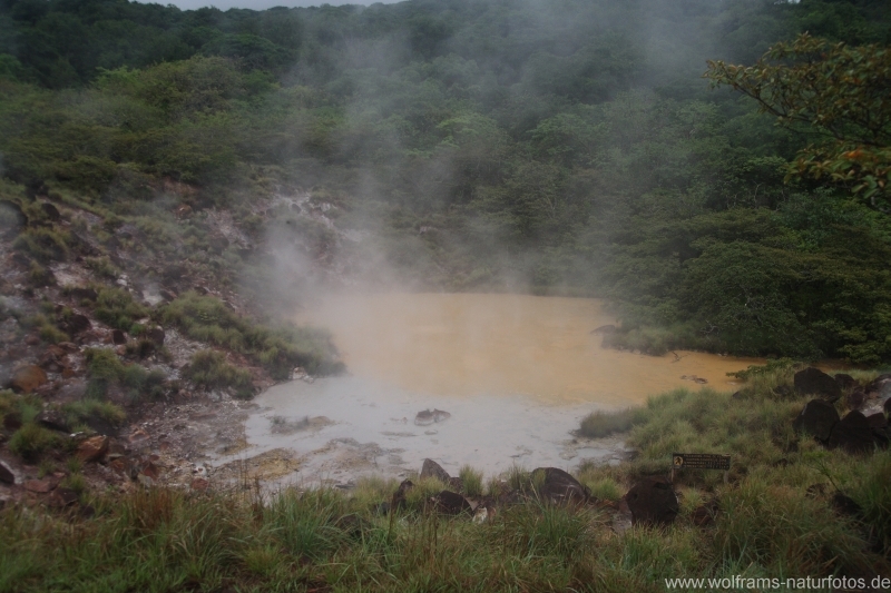 von_Monteverde_nach_Rincon_36