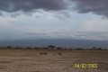 Kilimandscharo 